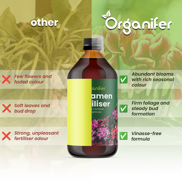 Organifer Logo. Vergleich von Organifer Alpenveilchen-Dünger: Zeigt Vorteile wie reiche Blüte, festes Laub und vinassefreie Formel.