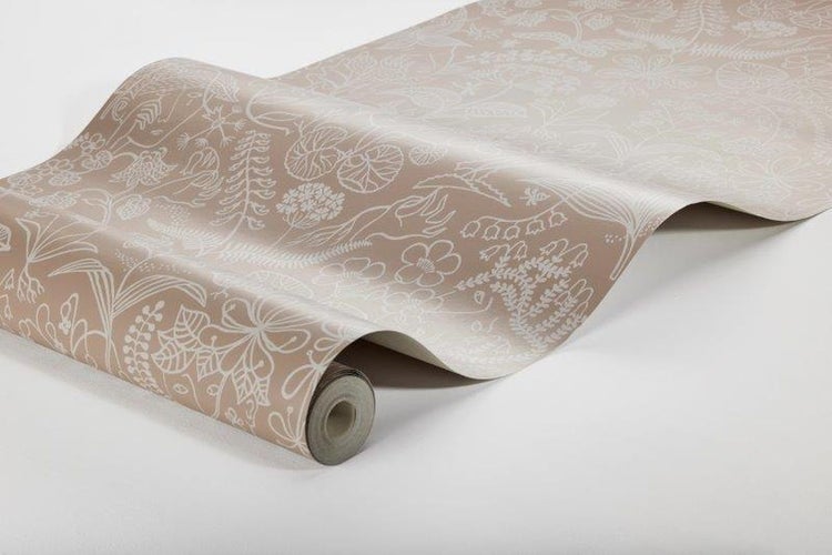 Gruppe gelber Coreopsis-Blüten im Garten.