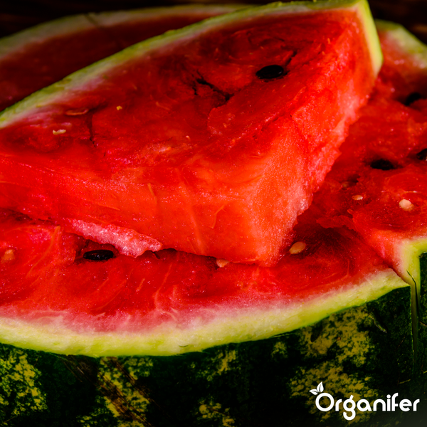 Aufgeschnittene Wassermelone mit Kernen und Organifer Logo.