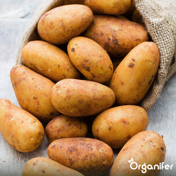 Reduzierstück aus Metall für Lüftungsanlagen