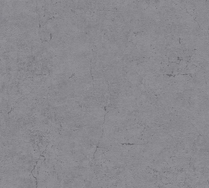 Nahaufnahme von Buchsbaumzweigen mit Blättern