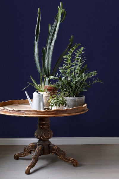 Arrangement aus Zimmerpflanzen und Gießkanne auf einem verzierten Holztisch