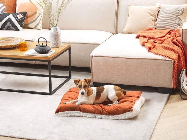 Ein kleiner Hund liegt auf einem orangefarbenen Hundekissen mit weißem Kunstfellrand in einem hellen, modernen Wohnzimmer mit Sofa und Holztisch.
