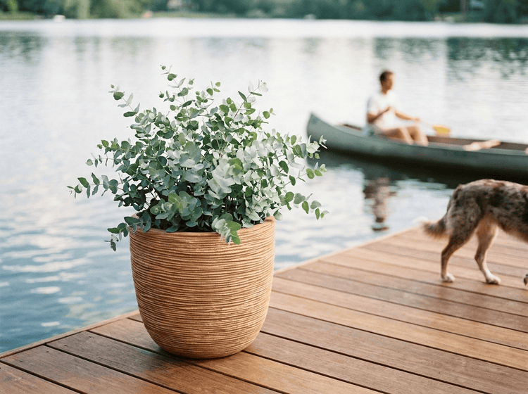 Ein strukturierter runder Pflanztopf aus Kunststoff mit einer Eukalyptuspflanze auf einem Holzsteg am See.