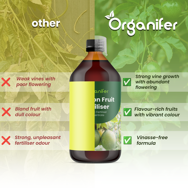 Organifer Logo. Infografik zum Passionsfrucht-Dünger vergleicht Vorteile wie starkes Wachstum und aromatische Früchte mit anderen Düngern.