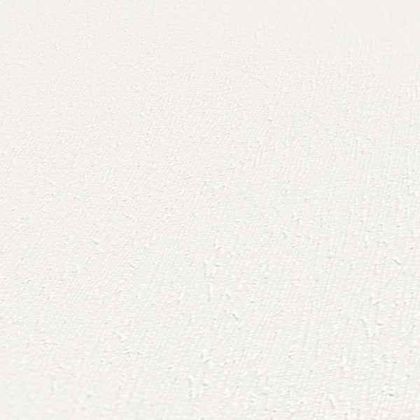 Runde, grüne Zwergfichte im Gartenbeet.