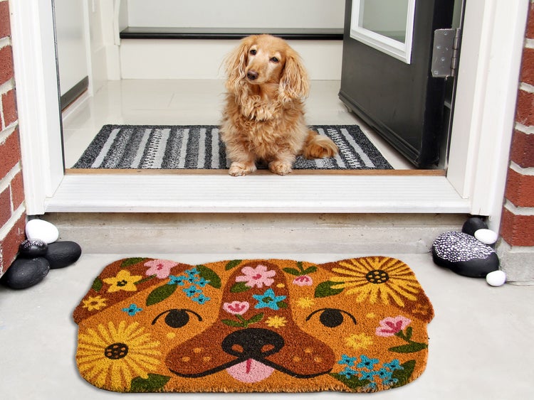 Szene mit Fußmatte im Hunde Design und einem Dackel der auf einer Fußmatte mit Streifen vor der Tür sitzt.