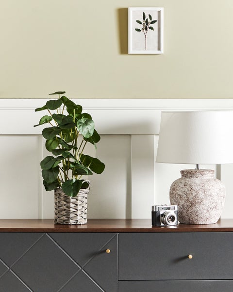 Dekorative Szene mit Topfpflanze, Lampe und Kamera auf einem Schrank