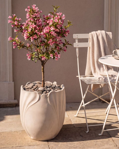 Rosa blühende Weigela in einem weißen Pflanzgefäß in Blütenform auf einer hellen Terrasse neben einem weißen Klappstuhl mit Decke.