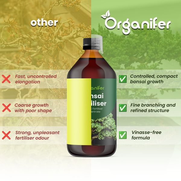 Organifer Passionsblumen-Dünger, organisches Düngerkonzentrat, 10 Liter Kanister für 10000 Quadratmeter.