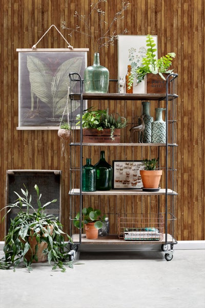 Regalwagen mit Pflanzen und Dekoration vor einer Holzwand