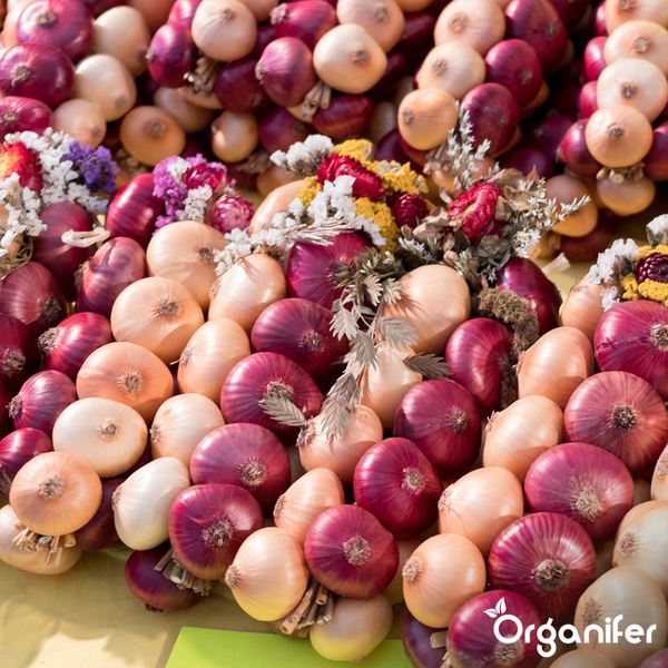 Verschiedene Kartoffelsorten in einem Korb mit Gewürzen und Öl