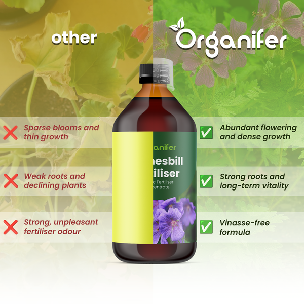 Organifer Logo und Vergleich von Storchschnabel Dünger zu anderen Produkten: zeigt üppige Blüte und kräftige Wurzeln gegenüber spärlichem Wuchs.