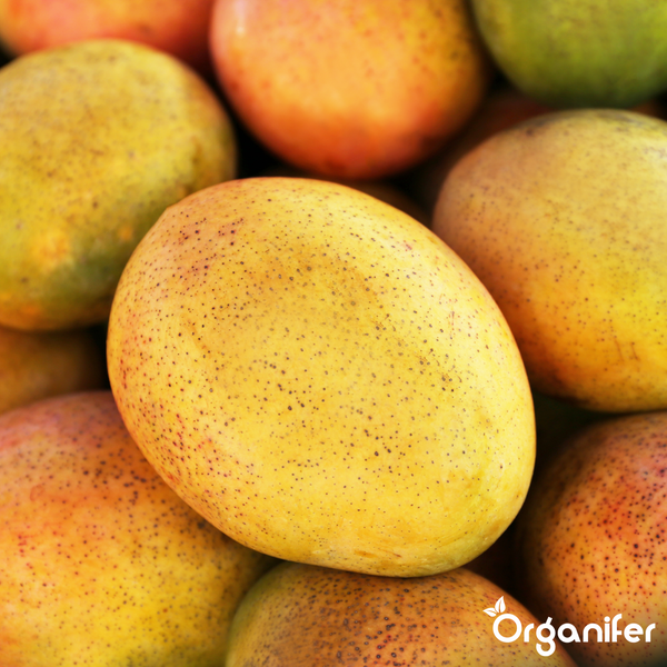 Nahaufnahme von Mangos mit Organifer Logo