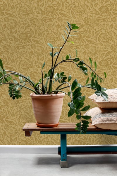 Dekorative Zimmerpflanze im Terrakottatopf auf einer Holzbank vor einer gemusterten Tapete.