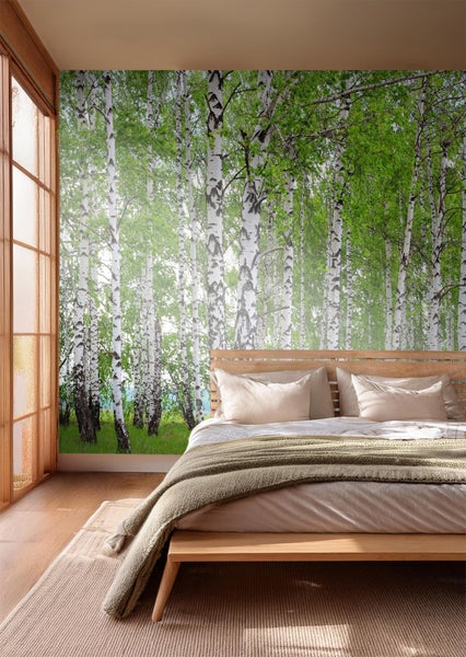 Schlafzimmer mit Birkenwald-Fototapete, Bett und Tageslicht
