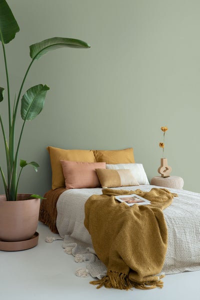 ESTAhome Wandfarbe matt  Mintgrün - 2 l / ca. 18 m² - 191018