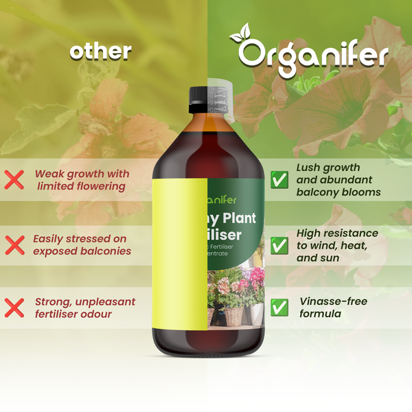 Organifer Logo über Vergleich von Balkonpflanzendünger, zeigt Vorteile wie kräftiges Wachstum, Wetterfestigkeit und vinassefreie Formel.