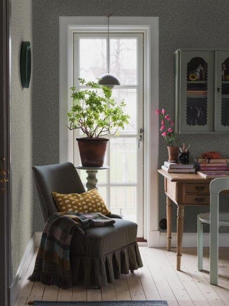 Nahaufnahme einer Margeritenblüte mit weißem Blütenblatt und gelbem Zentrum