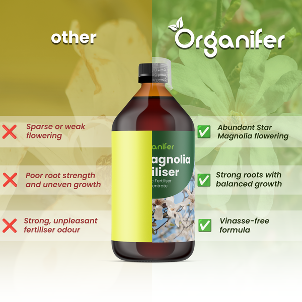 Vergleich von Organifer Magnoliendünger: Vorteile sind reichliche Blüte, starke Wurzeln und vinassefreie Formel gegenüber anderen Düngern.