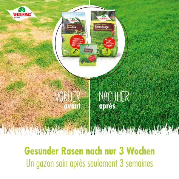 Vorher-nachher-Vergleich von Rasenflächen mit Verdurmax Gartenkalk, Rasensamen und Rasendünger.