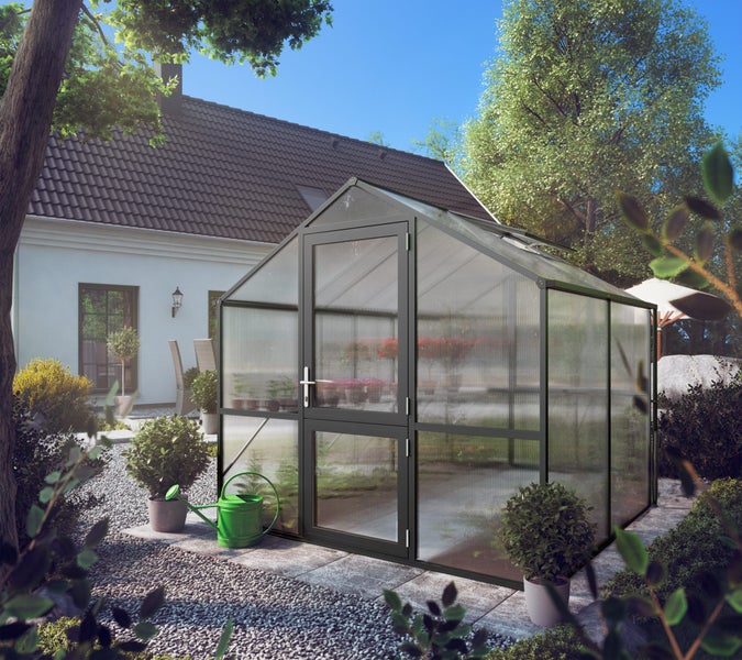 Modernes Gewächshaus mit dunklem Aluminiumrahmen und Hohlkammerplatten in einem hellen Garten neben einem Wohnhaus.