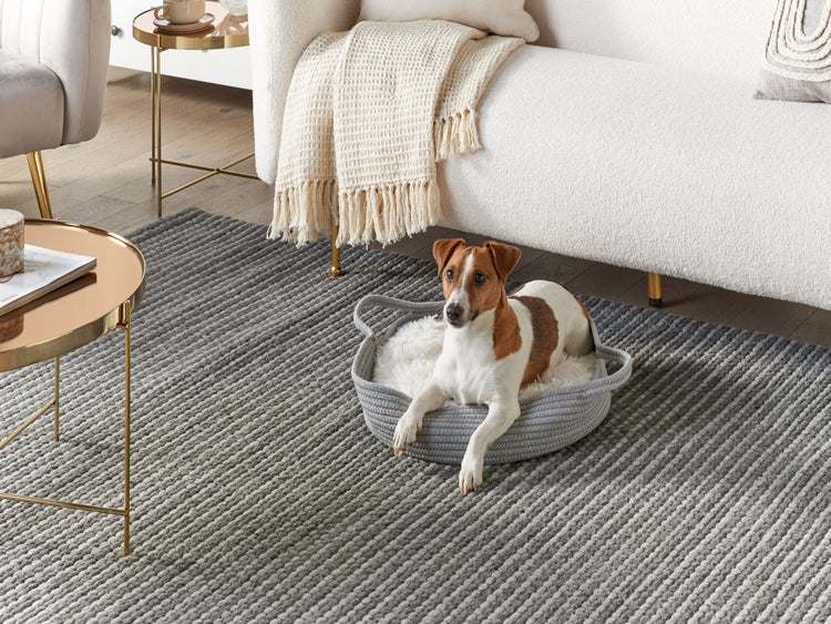 Skizze eines runden Hundebettes mit Maßen: Durchmesser 45 Zentimeter, Höhe 18 Zentimeter, Abweichung plus minus 2 Zentimeter.