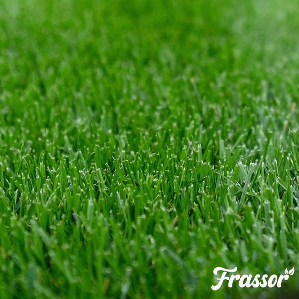 Nahaufnahme eines dichten gepflegten Rasens mit Frassor Logo