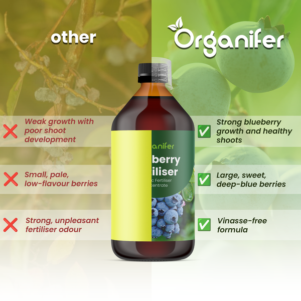 Vergleich von Organifer Beeren-Dünger: kräftiges Wachstum, gesunde Triebe und süße Beeren dank vinassefreier Formel. Organifer Logo.
