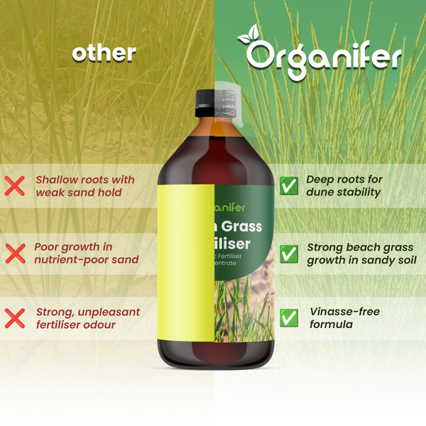Vergleich von Organifer Strandhafer-Dünger mit anderen Produkten: Fördert tiefe Wurzeln, starkes Wachstum in Sand und ist vinassefrei. Organifer Logo.