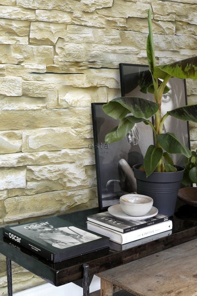 Dekorative Steinwand mit Pflanzen und Dekoartikeln auf einem Tisch.