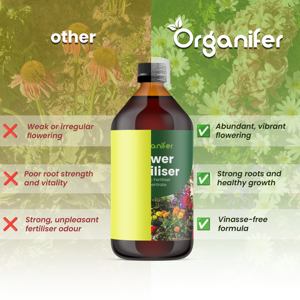 Vergleich von Organifer Flüssigdünger mit anderen Produkten. Vorteile sind üppige Blüte, kräftige Wurzeln und eine vinassefreie Formel.