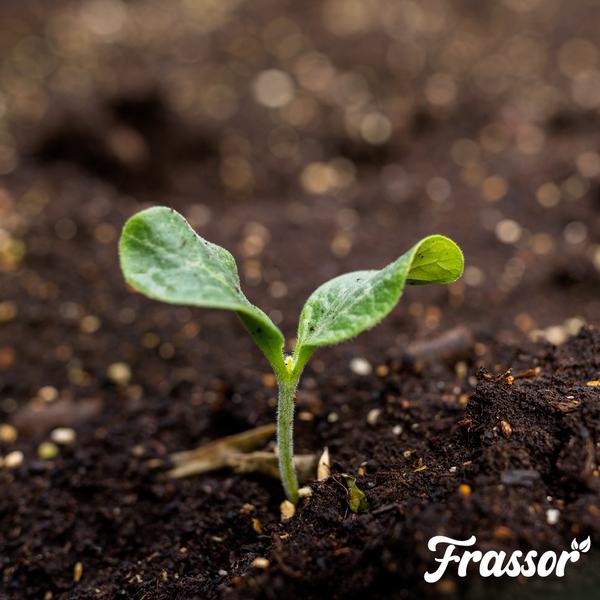 Frassor Bodenhilfsstoff Soil Resilience Konzentrat 1 Liter für 1000 Quadratmeter