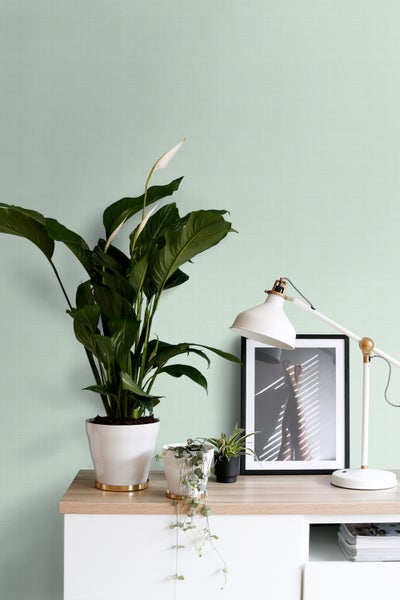 Dekorative Szene mit Zimmerpflanzen, Tischleuchte und gerahmtem Bild auf einem Schrank