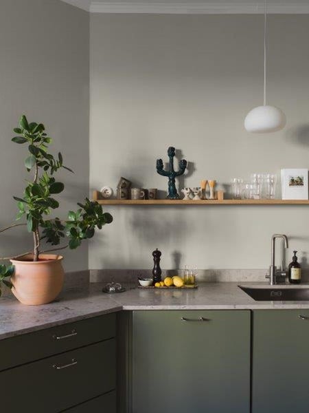 Informationen zu luftreinigenden Zimmerpflanzen, einschliesslich Pflegehinweisen, Bewässerungshäufigkeit, Standortanforderungen und Luftfiltereigenschaften