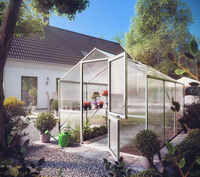 Gewächshaus mit Aluminiumrahmen und Hohlkammerplatten im Garten, geöffnete Tür, Pflanzen im Inneren, Gießkanne und Haus im Hintergrund.
