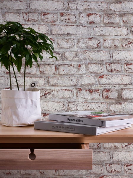 Insektenkescher mit Holzstiel