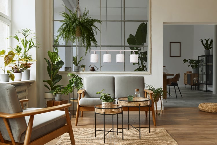 Heller Wohnraum mit grauem Sofa, Sesseln und Pflanzen