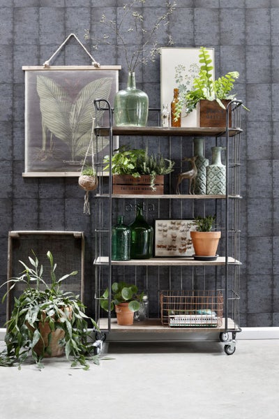 Dekoratives Regal mit verschiedenen Dekorationsobjekten und Pflanzen