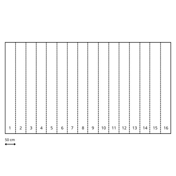 Diagramm mit 16 Abschnitten, jeweils durch eine gestrichelte Linie getrennt und von 1 bis 16 nummeriert. 50 Zentimeter Maßstab unten links.