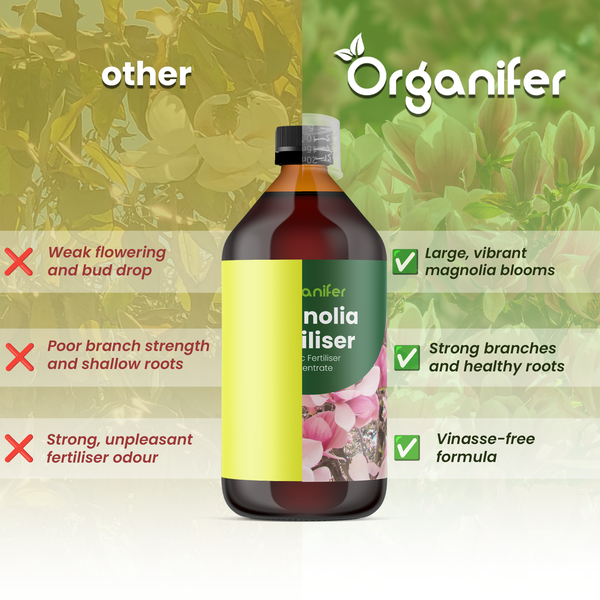 Organifer Magnoliendünger Flasche im Vergleich zu herkömmlichen Düngern für kräftige Blüten und Wurzeln.