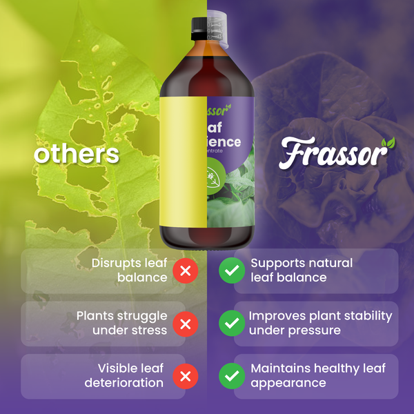 Vergleich von Frassor Leaf Resilience: unterstützt Blattgleichgewicht und Pflanzenstabilität gegenüber herkömmlichen Produkten. Frassor Logo.