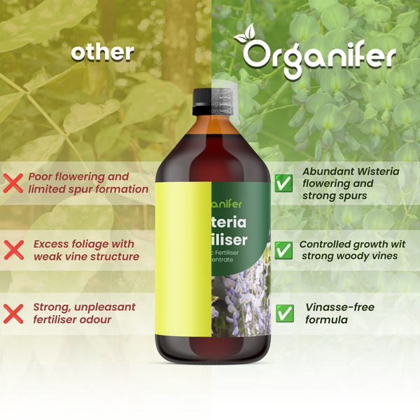 Organifer Logo und Blauregen-Dünger Vergleich: üppige Blüte, kontrolliertes Wachstum und vinassefreie Formel gegenüber anderen Produkten.