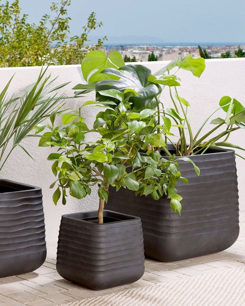 Blumenkübel PARIKIA 50 cm Schwarz