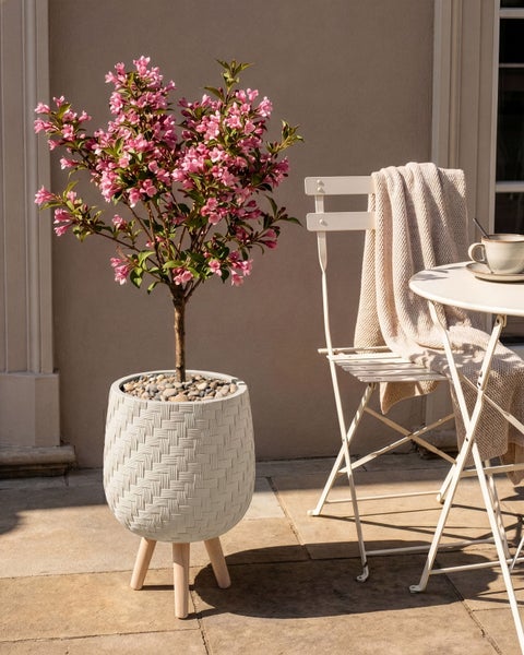 Rosa blühende Weigela in einem strukturierten weißen Übertopf auf Holzbeinen, neben weißen Gartenmöbeln auf einer hellen Terrasse.