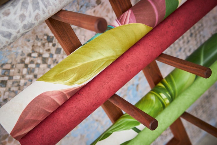 Nahaufnahme einer blühenden Clematis