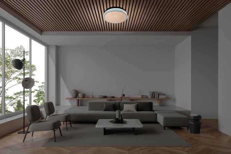 Helles Wohnzimmer mit Sofa, Sessel, Couchtisch und Deckenleuchte