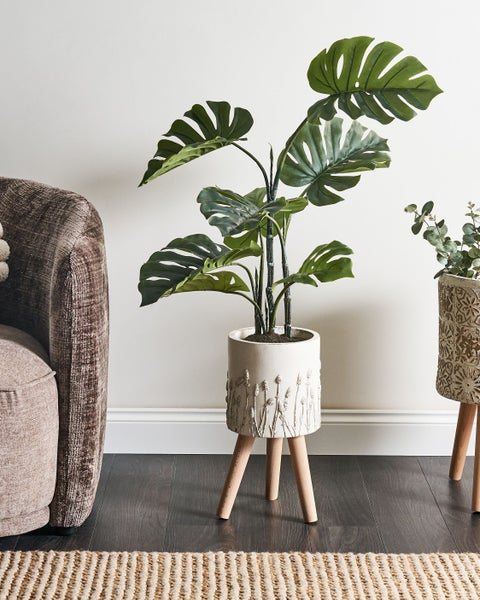 Dekorative Monstera Pflanze in einem Topf auf Holzfüßen neben einem Sessel auf einem Teppich.