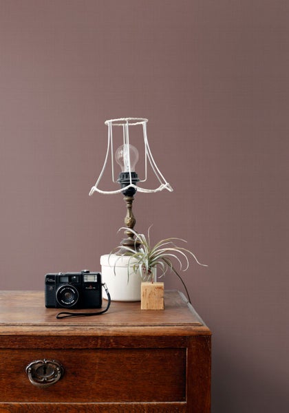 Dekorative Szene mit Lampe, Kamera und Pflanze auf einem Holzmöbelstück vor einer einfarbigen Wand