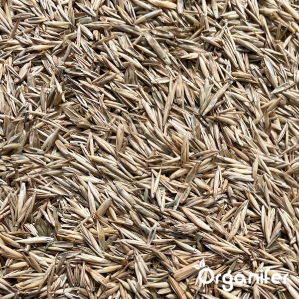 Nahaufnahme von Grassamen mit Organifer Logo.